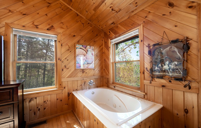 Cabins (United States of America, Sevierville, Tennessee)