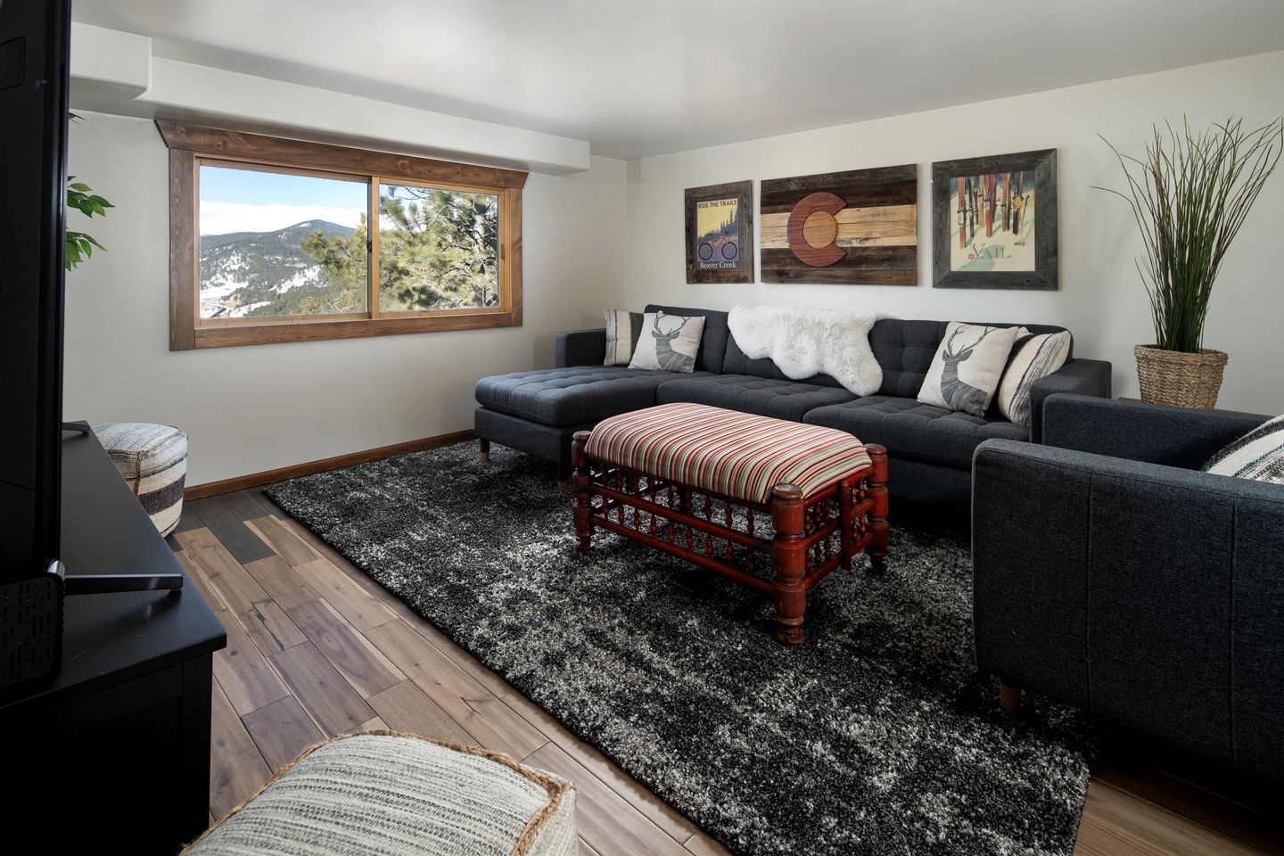 Wonderful Cabin Nestled Amidst Trees in the Mountains of Nederland, Colorado