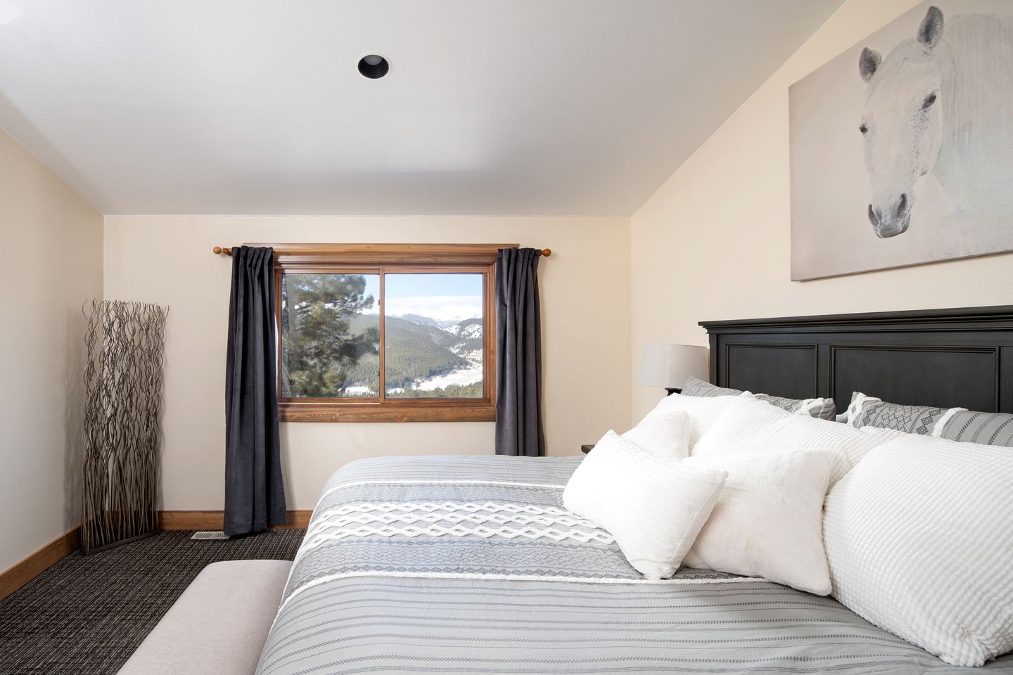 Wonderful Cabin Nestled Amidst Trees in the Mountains of Nederland, Colorado
