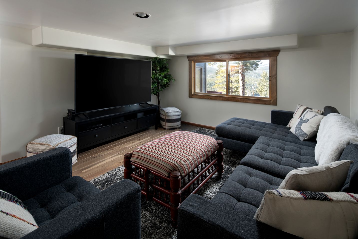 Wonderful Cabin Nestled Amidst Trees in the Mountains of Nederland, Colorado