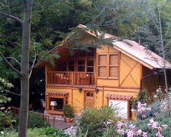 undefined photo 5