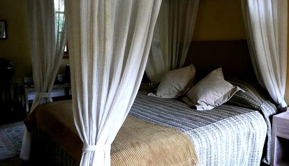 undefined photo 3