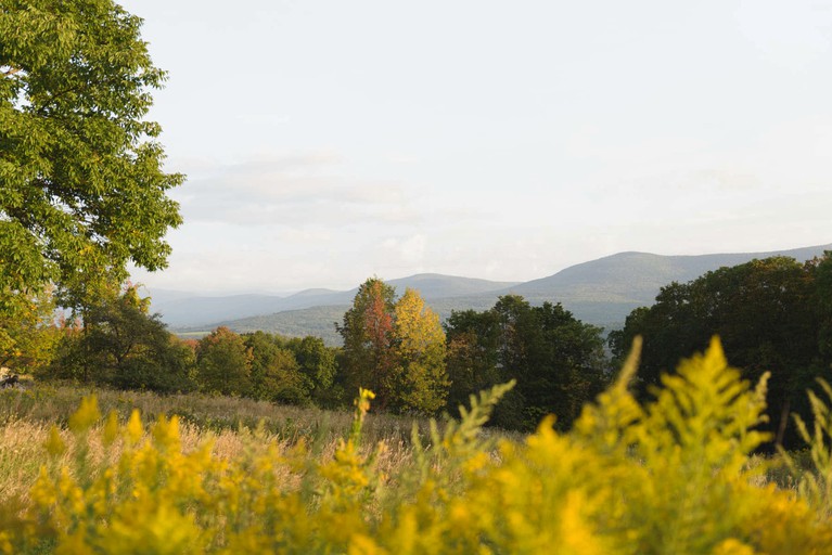Glamping in the Sun Barn, Barns 60014, Preston Hollow, United States of
