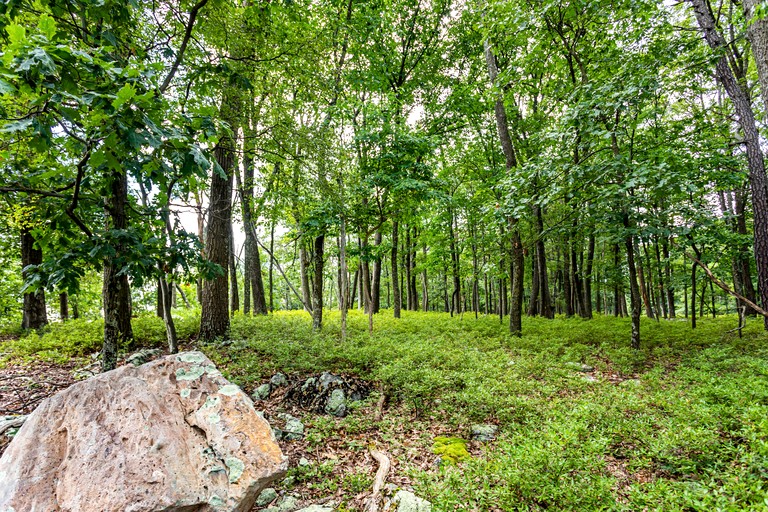Cabins (United States of America, Great Cacapon, West Virginia)
