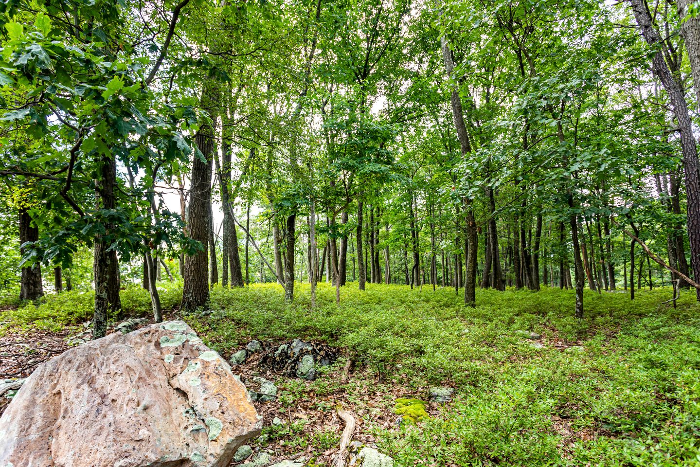 Mountainside Cabin with Hot Tub, Fire Pit and Deck Tucked Away in the Woods of Great Cacapon, WV