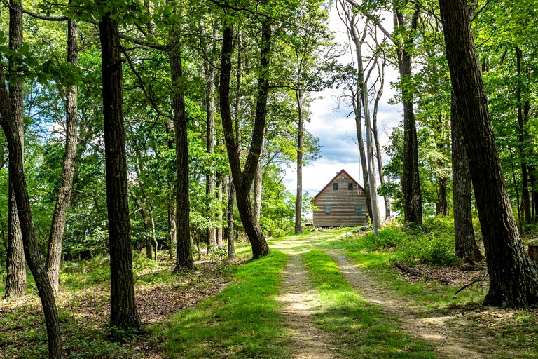 Cabins (United States of America, Great Cacapon, West Virginia)