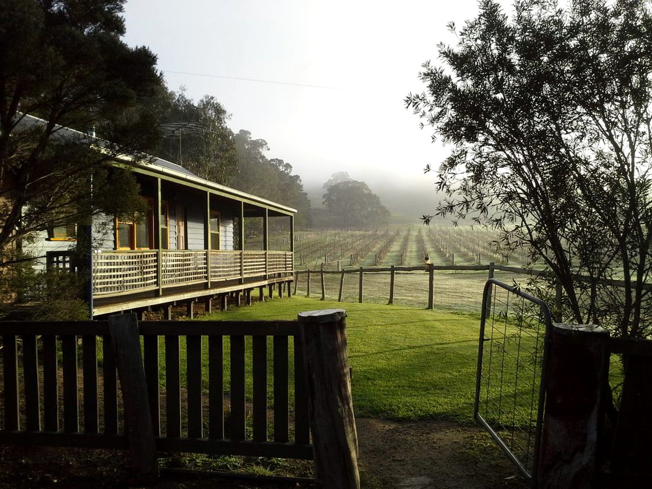 Mountainside Cabin Rental Nestled in a Vineyard near Ararat, Victoria