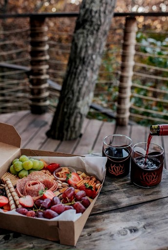Tree Houses (United States of America, Ringgold, Georgia)