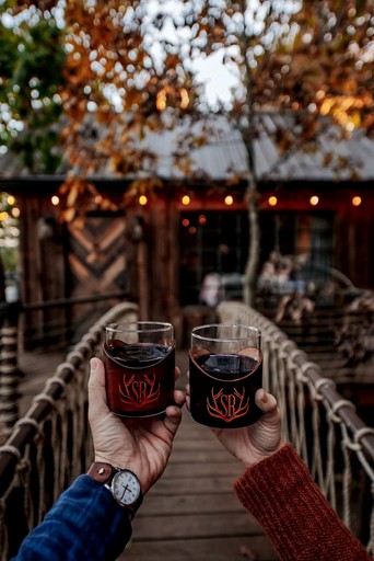 Tree Houses (United States of America, Ringgold, Georgia)