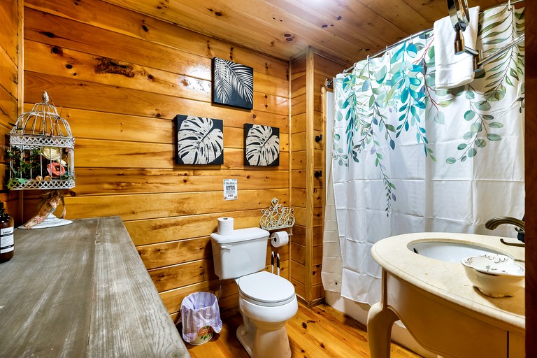 Log Cabins (United States of America, Sevierville, Tennessee)