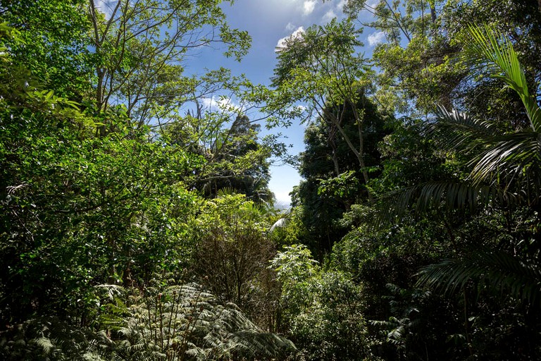 Cabins (Mount Glorious, Queensland, Australia)