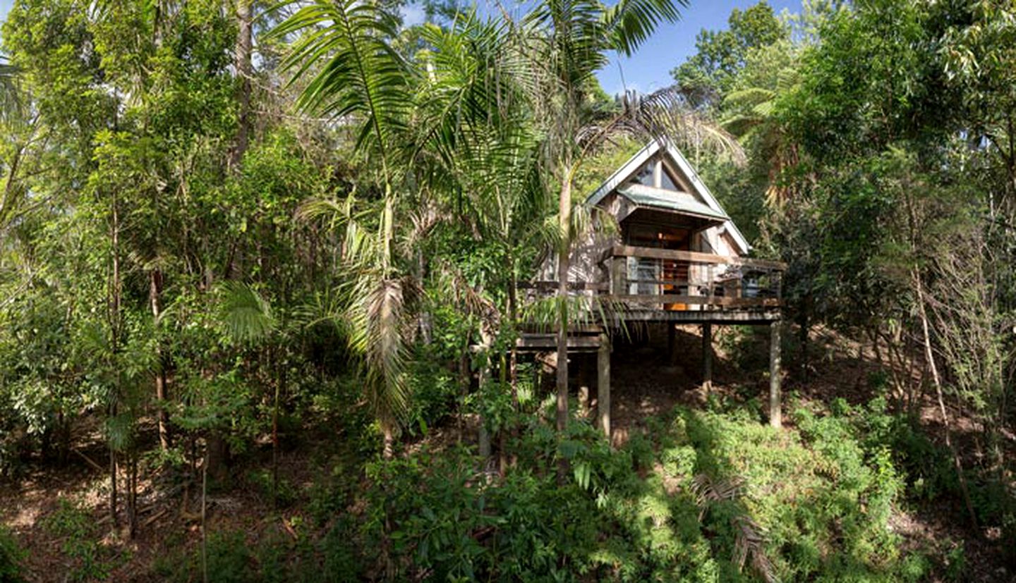 Amazing Mountain Cabin with a Barbecue near Cedar Creek, Queensland