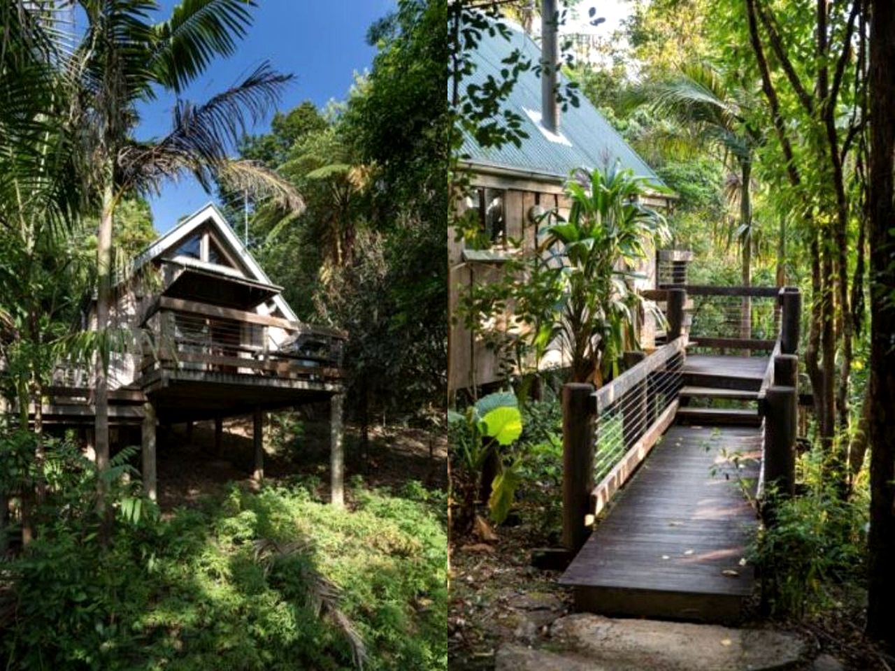 Amazing Mountain Cabin with a Barbecue near Cedar Creek, Queensland