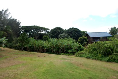 Tropical Tree House-Style Loft Rental with Ocean Views in Haiku, Hawaii - Photo 2