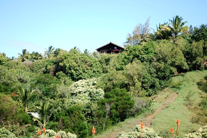 Tropical Tree House-Style Loft Rental with Ocean Views in Haiku, Hawaii photo 5