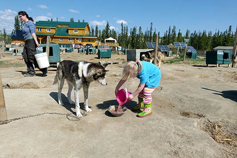 Log Cabins (Whitehorse, Yukon, Canada)