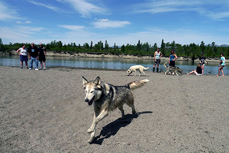 Log Cabins (Whitehorse, Yukon, Canada)