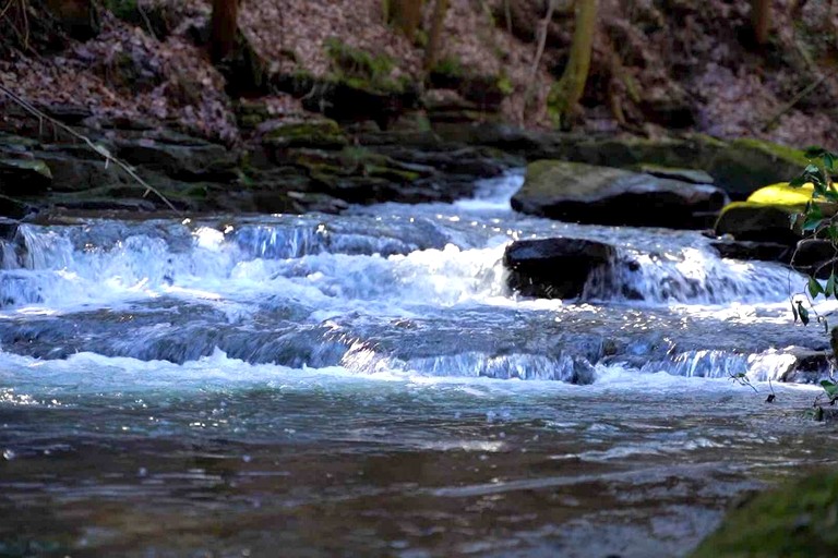 Cabins (United States of America, Monteagle, Tennessee)