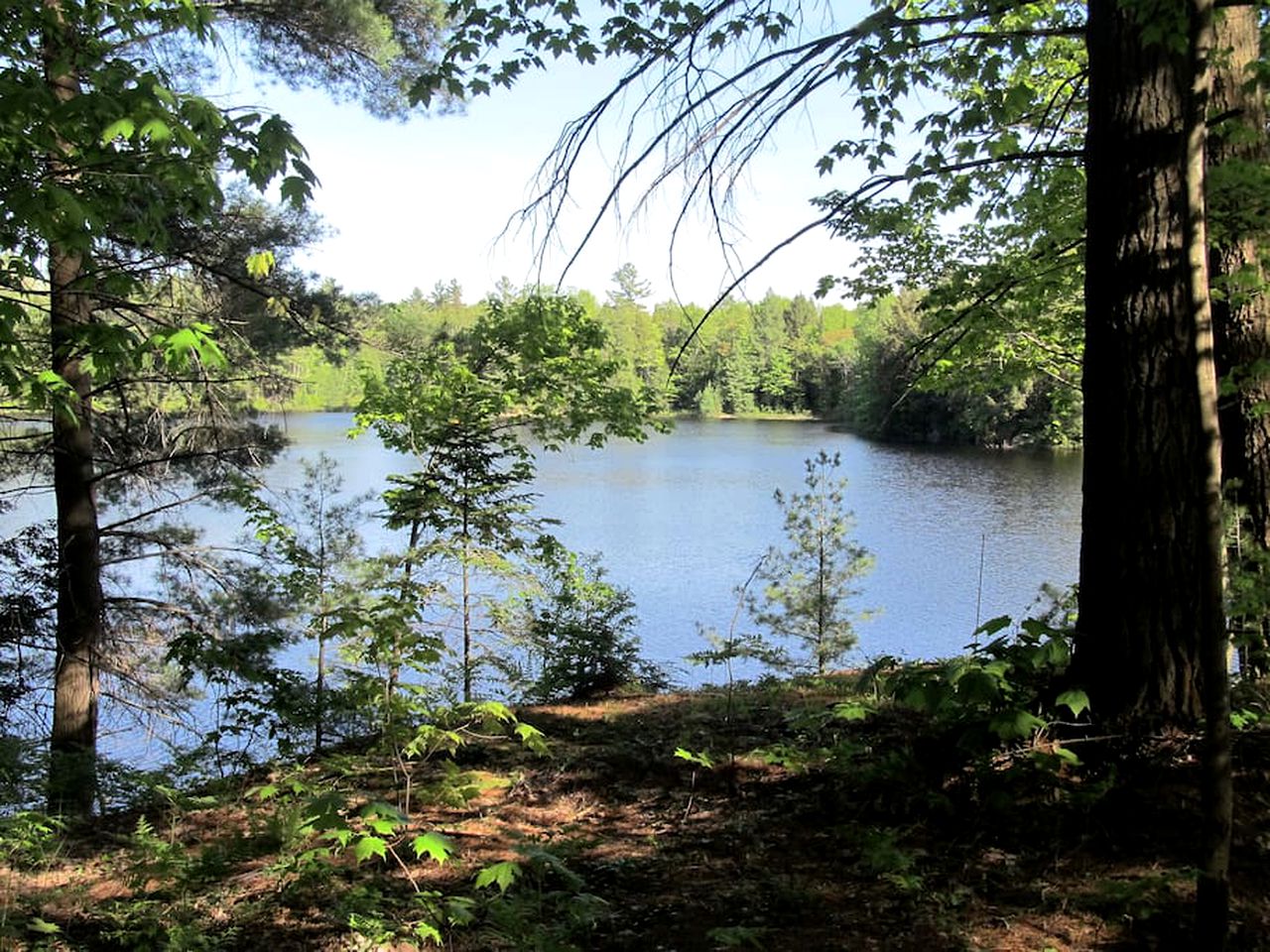 Amazing Lakefront Tent Rentals for a Secluded Glamping Getaway near Algonquin Park, Ontario