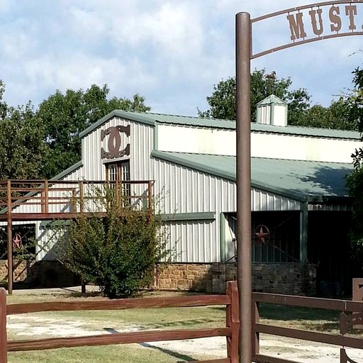 Nature Lodges (Alba, Texas, United States)