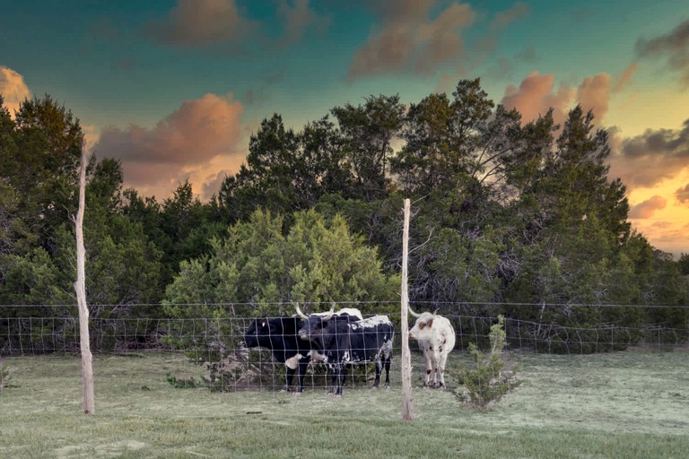 Tiny Houses (United States of America, Fredericksburg, Texas)