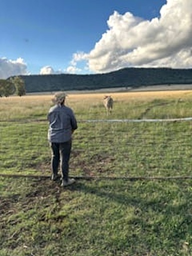 Tiny houses (Australia, Warialda, New South Wales)