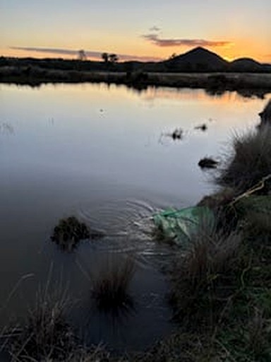 Tiny houses (Australia, Warialda, New South Wales)