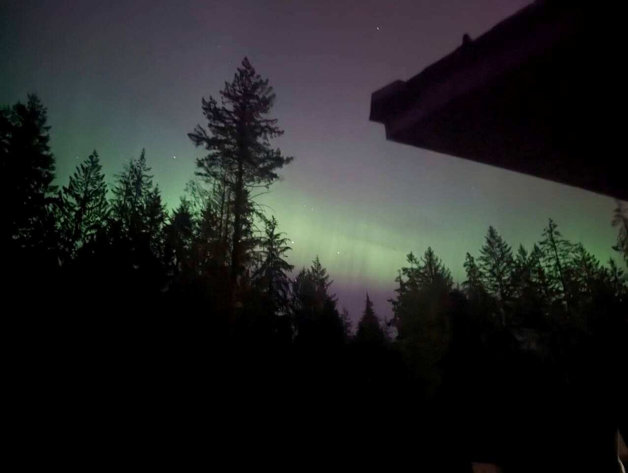 Cozy Forest Cabin with Farm Animals & Trails near Downtown in British Columbia