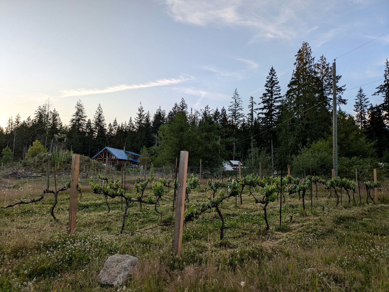 Cozy Forest Cabin with Farm Animals & Trails near Downtown in British Columbia