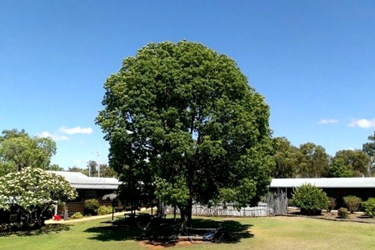 Bed and Breakfast Getaway on a Working Farm in Kokotungo, Queensland