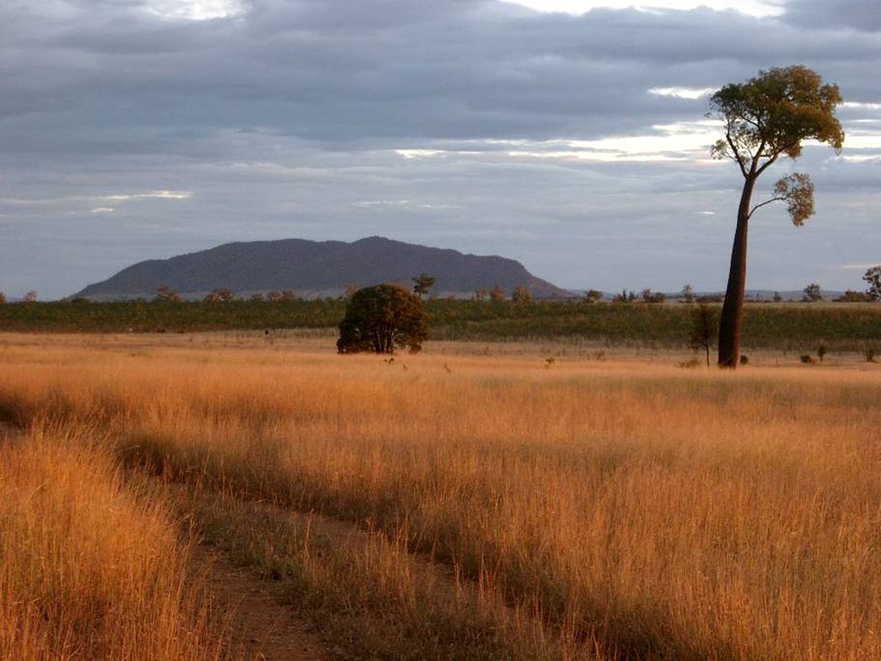 Bed and Breakfast Getaway on a Working Farm in Kokotungo, Queensland