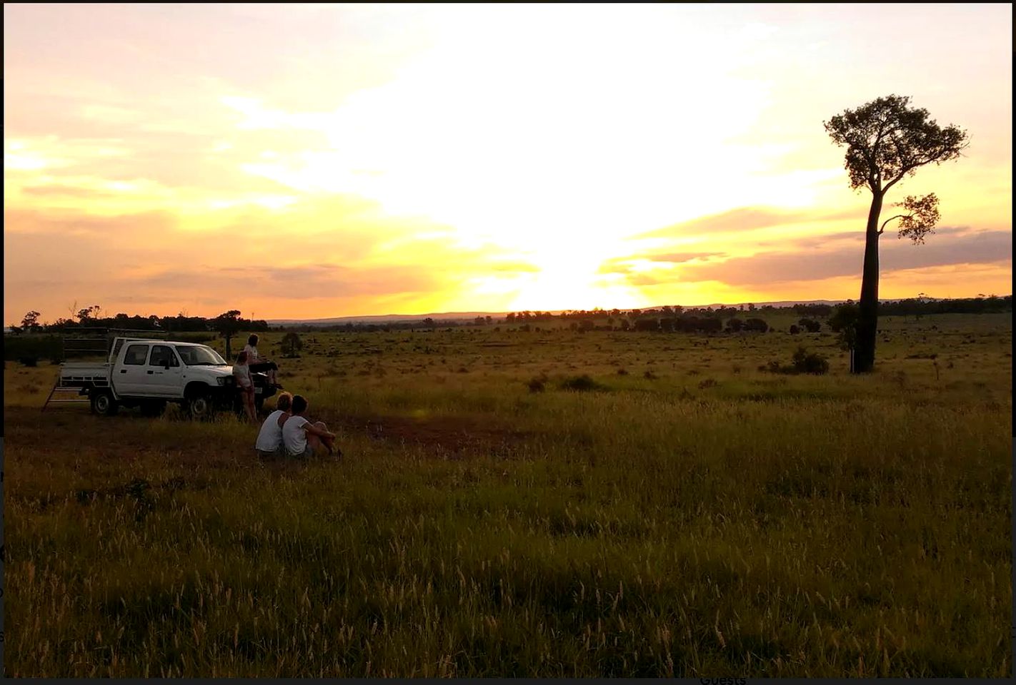 Bed and Breakfast Getaway on a Working Farm in Kokotungo, Queensland