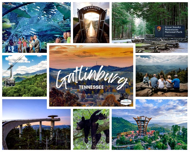 Cabins (United States of America, Gatlinburg, Tennessee)