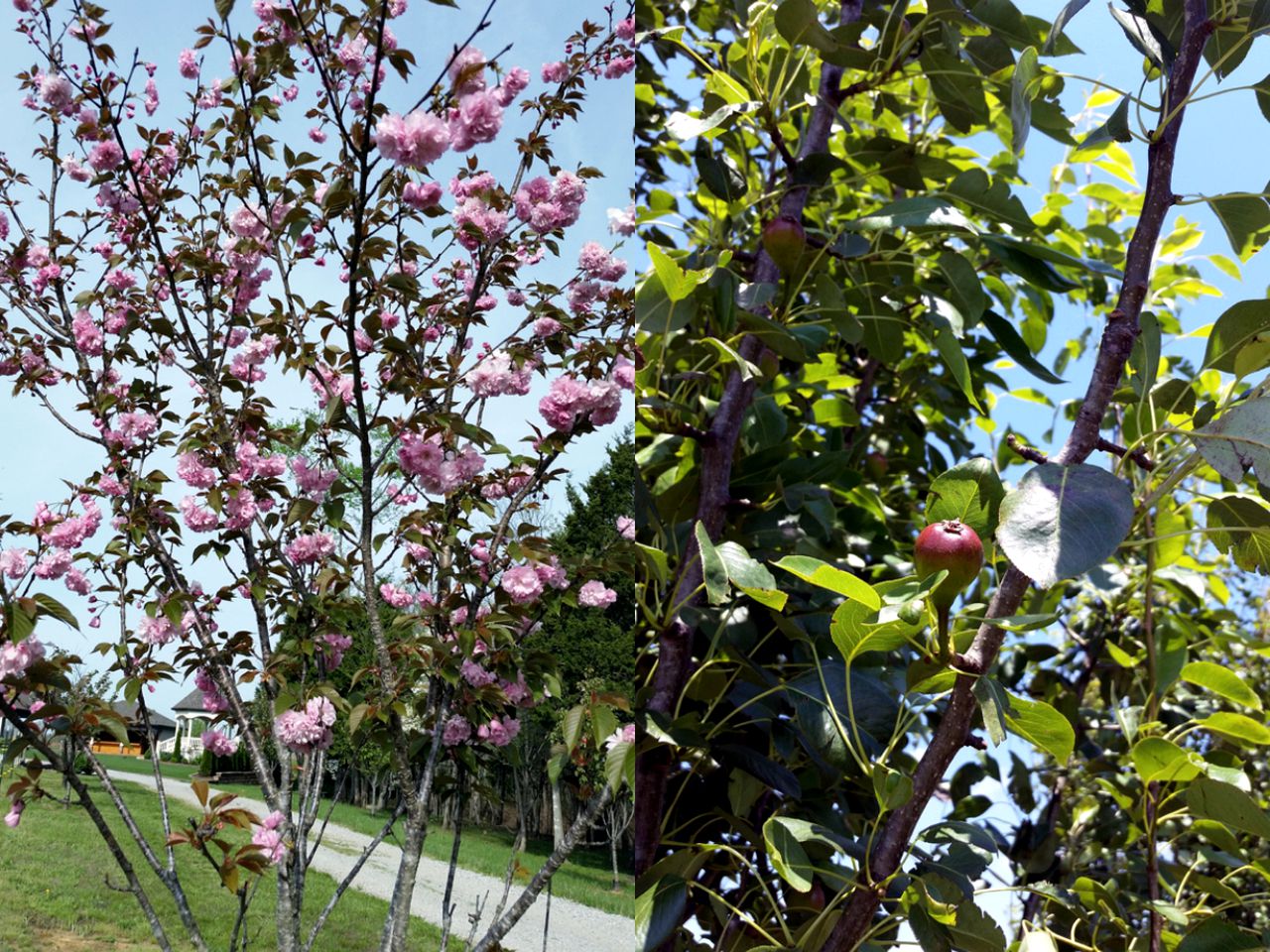 Lovely Bed and Breakfast Accommodation Outside of Hopkinsville, Kentucky