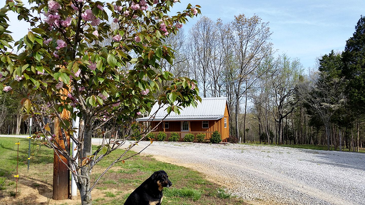 Sleek Two-Person Accommodation for a Getaway near Lake Barkley, Kentucky