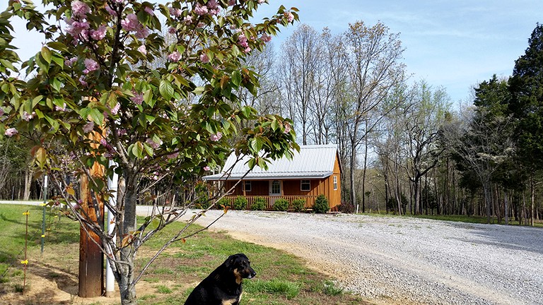 Nature Lodges (Hopkinsville, Kentucky, United States)