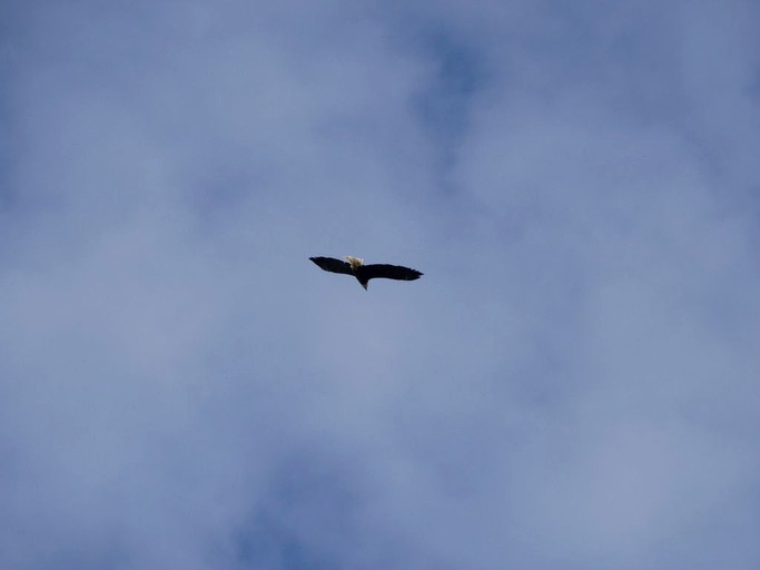 Cabins (De Soto, Wisconsin, United States)