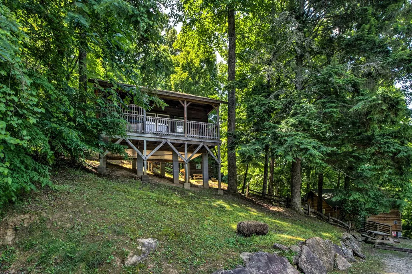 Elevated Tree Cabin in the Woodlands on the Nantahala River, North Carolina