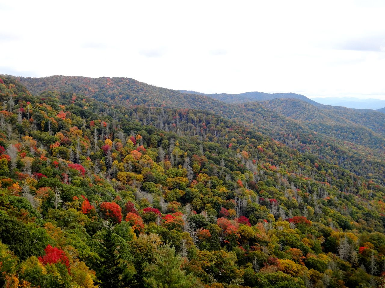 Idyllic Cabin Accommodation with a Hot Tub near Fontana Lake in North Carolina