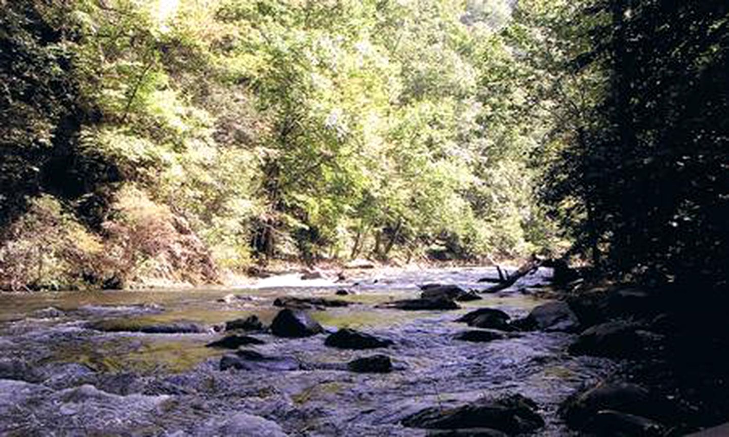 Secluded Riverfront Cabin in the Heart of Nantahala National Forest, North Carolina