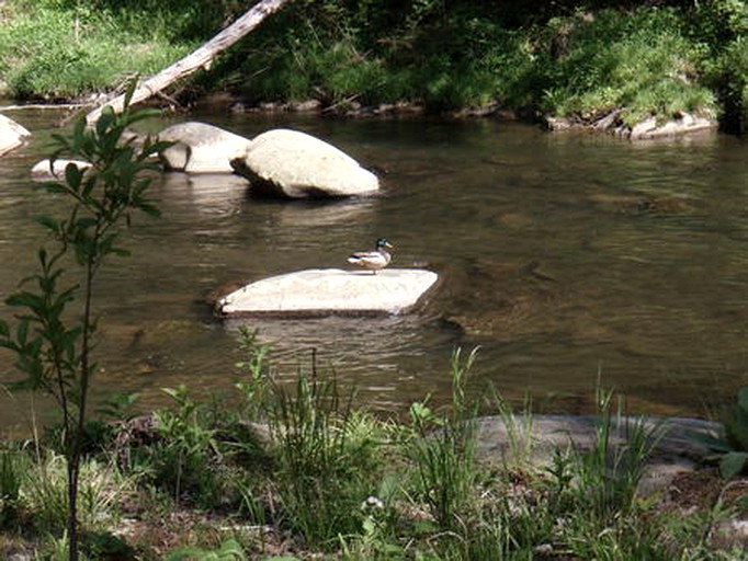 Cabins (Nantahala Township, North Carolina, United States) | Luxury rivercabin