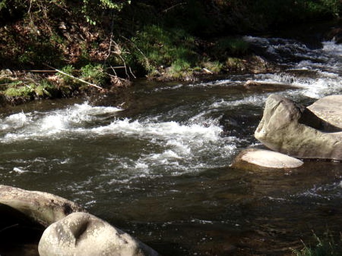 Cabins (Nantahala Township, North Carolina, United States)
