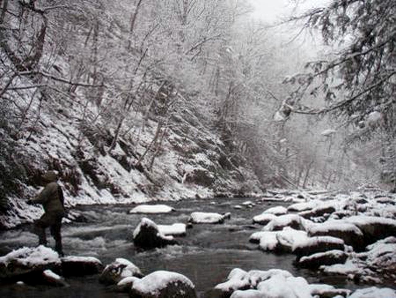 Secluded Riverfront Cabin in the Heart of Nantahala National Forest, North Carolina
