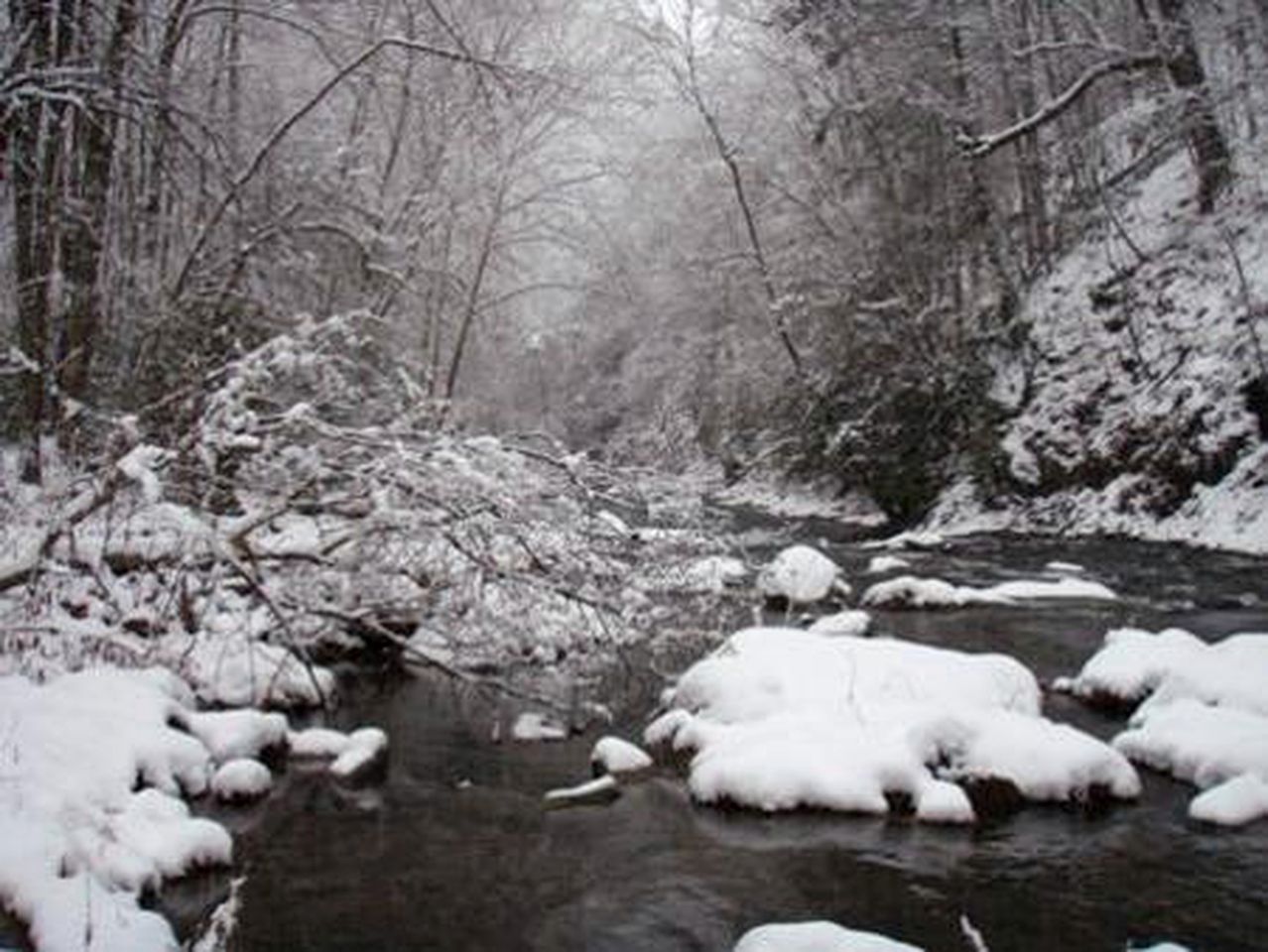 Secluded Riverfront Cabin in the Heart of Nantahala National Forest, North Carolina