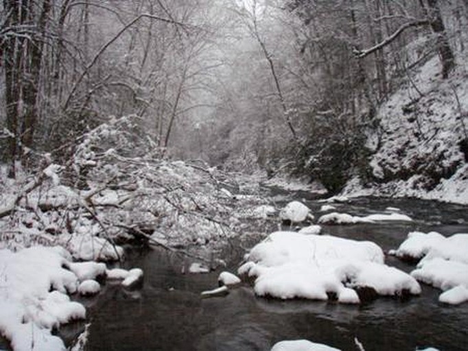 Nantahala River cabins (Nantahala Township, North Carolina, United States)