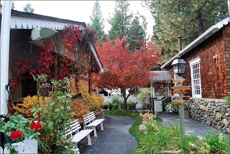 Narrow Gauge Inn, Nature Lodges 28762, Fish Camp, United States of