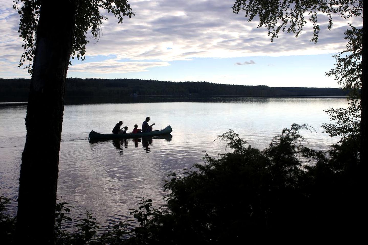 Modern Pod Rental with Wood-Burning Stove for a Woodland Vacation near Falun, Sweden