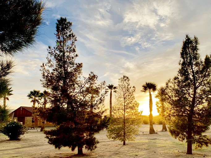 Yurts (United States of America, Joshua Tree, California)