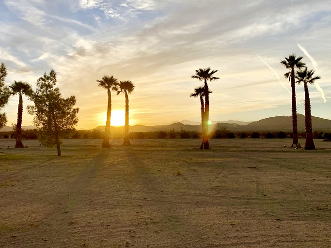 Yurts (United States of America, Joshua Tree, California)