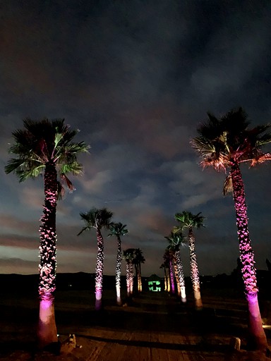 Yurts (United States of America, Joshua Tree, California)